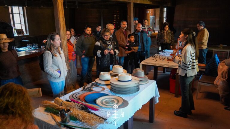 500536915_1011304597784068_6220320418944733732_n